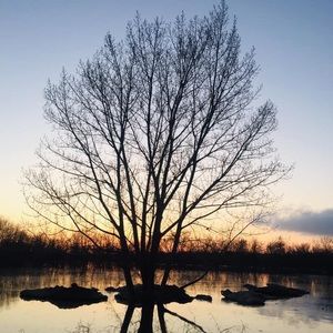 Meet your Posher, Sonja